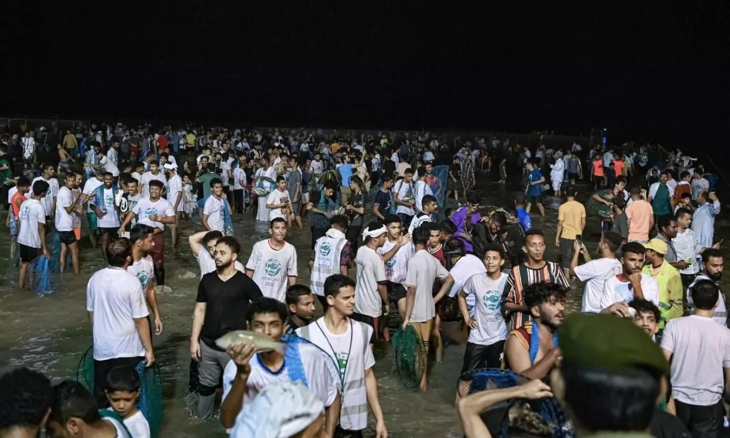 Hareed Fish Festival