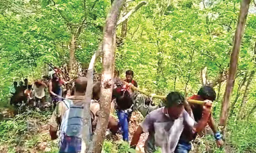 തേൻ ശേഖരിക്കുന്നതിനിടെ മരിച്ചവരുടെ മൃതദേഹങ്ങൾ പുറത്തെത്തിച്ചത് സാഹസികമായി