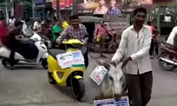 ola scooter with donkey