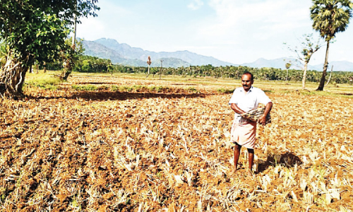 Summer rain Preparations for farming have begun