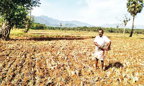 Summer rain Preparations for farming have begun