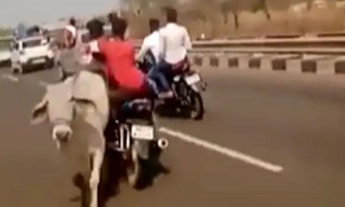 ബൈക്ക് പശുവിലിടിച്ച് അപകടം; ചന്ദ്രശേഖർ ആസാദിന് അകമ്പടി പോയ അനുയായി മരിച്ചു