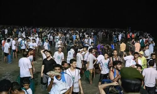 Hareed Fish Festival