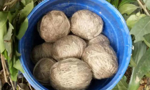 പന്താണെന്ന് കരുതി ബോംബുകളെടുത്ത് കളിച്ചു; സ്ഫോടനത്തിൽ അഞ്ച് കുട്ടികൾക്ക് പരിക്ക്