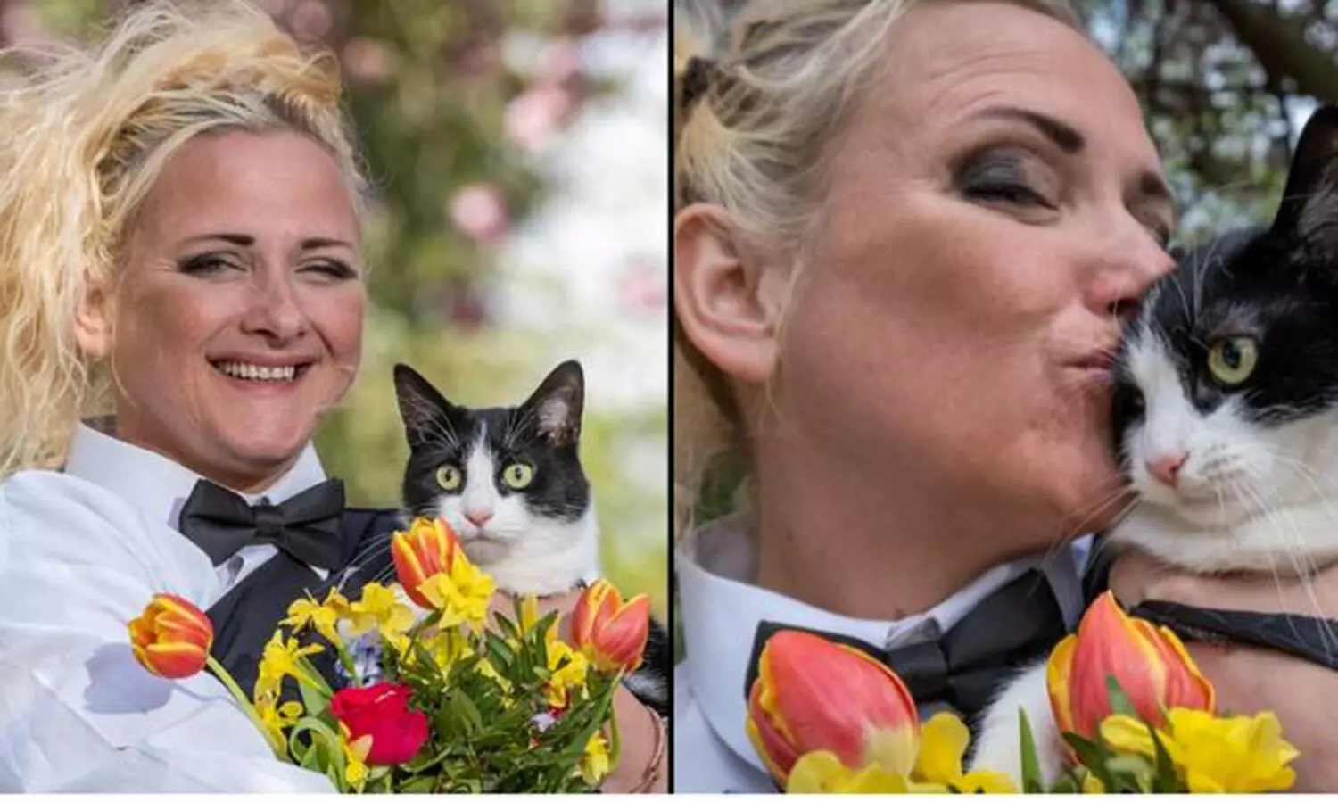 പൂച്ചയെ വിവാഹം കഴിച്ച് യുവതി, കാരണമറിയണോ