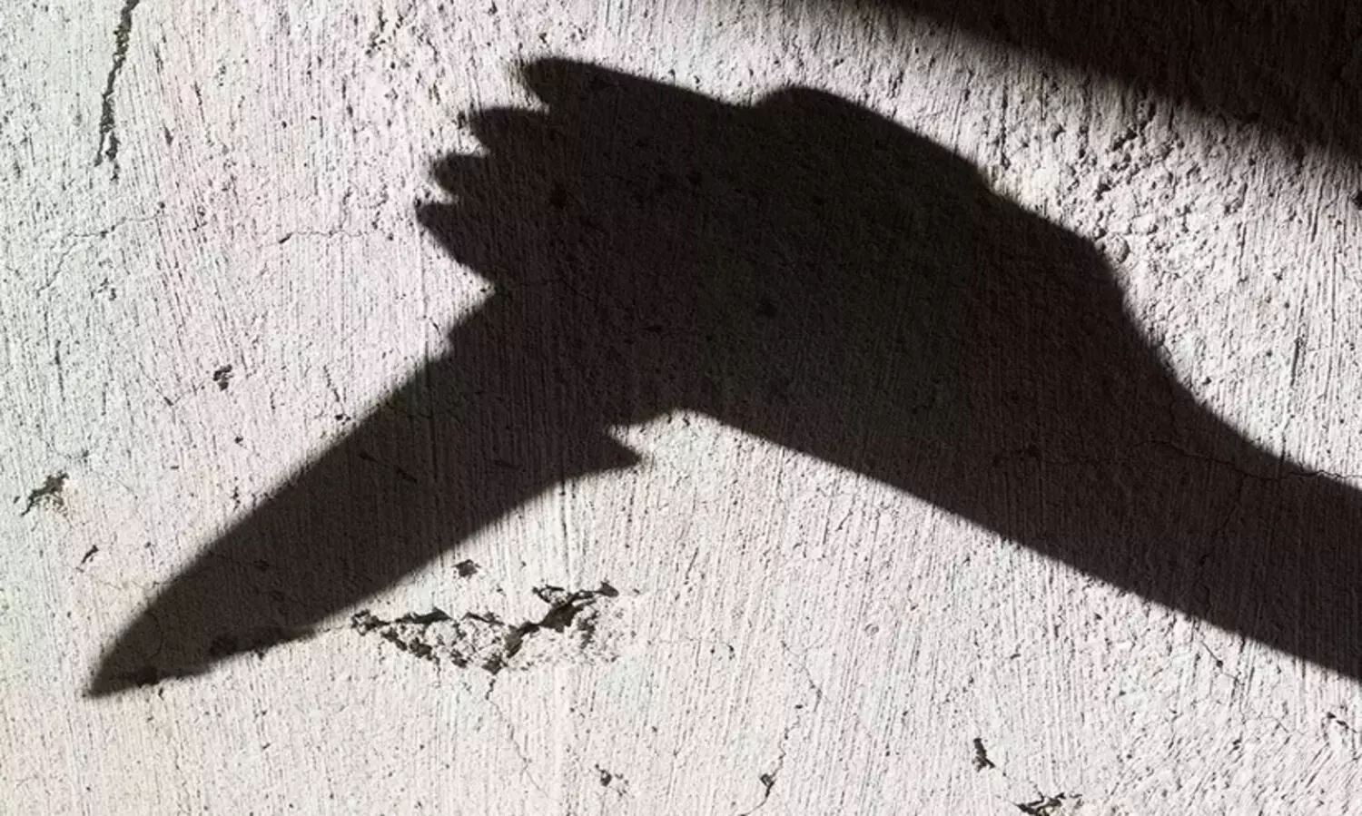 പ്രണയാഭ്യാർഥന നിരസിച്ചു; 20കാരിയെയും മാതാപിതാക്കളെയും വഴിയിൽ കഴുത്തറുത്ത് കൊന്നു