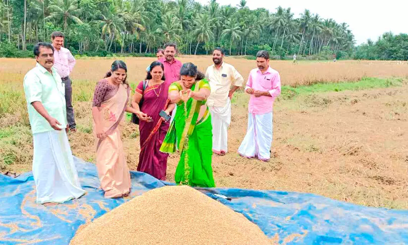 District Panchayat Project Velaom Paddy Cultivation Development