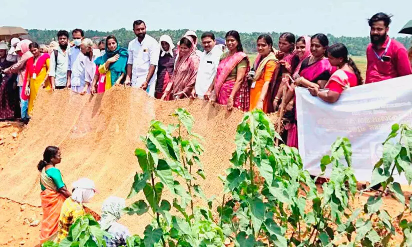 Using coir geotextile The rebuilding of the Bund began Using coir geotextile The rebuilding of the Bund began