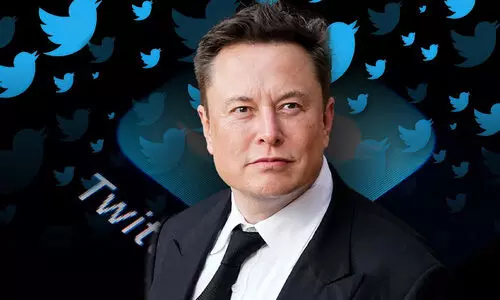 elon musk twitter
