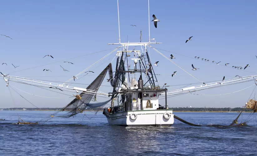 അജ്മാനിലെ മത്സ്യത്തൊഴിലാളികളുടെ ക്ഷേമത്തിനായി 65 ലക്ഷം ധനസഹായം പ്രഖ്യാപിച്ചു അജ്മാനിലെ മത്സ്യത്തൊഴിലാളികളുടെ ക്ഷേമത്തിനായി 65 ലക്ഷം ധനസഹായം പ്രഖ്യാപിച്ചു