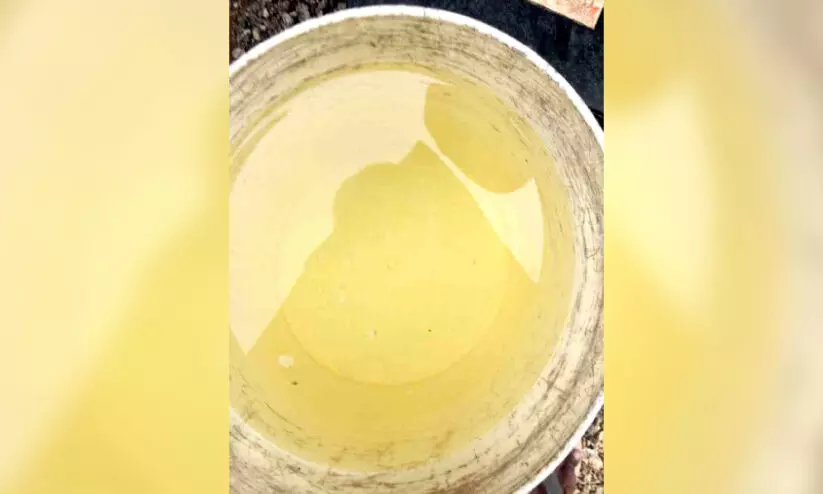 നിറംമാറി ശാസ്താംകോട്ട തടാകം; ശാസ്ത്രീയപഠനം വേണമെന്നാവശ്യം നിറംമാറി ശാസ്താംകോട്ട തടാകം; ശാസ്ത്രീയപഠനം വേണമെന്നാവശ്യം