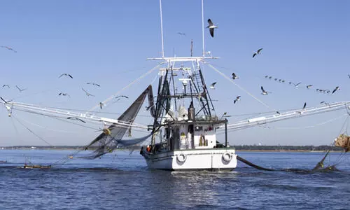 അജ്മാനിലെ മത്സ്യത്തൊഴിലാളികളുടെ ക്ഷേമത്തിനായി 65 ലക്ഷം ധനസഹായം പ്രഖ്യാപിച്ചു അജ്മാനിലെ മത്സ്യത്തൊഴിലാളികളുടെ ക്ഷേമത്തിനായി 65 ലക്ഷം ധനസഹായം പ്രഖ്യാപിച്ചു