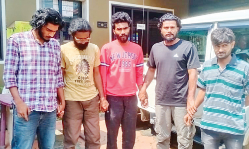 ലഹരിമരുന്നുമായി അഞ്ച് യുവാക്കൾ പിടിയിൽ; എം.ഡി.എം.എയും പണവും കണ്ടെത്തി