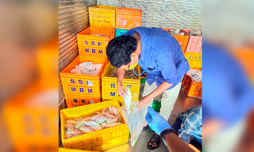 ഭ​ക്ഷ്യ​സു​ര​ക്ഷ വ​കു​പ്പ്​ പരിശോധന: ആ​ല​പ്പു​ഴ ജില്ലയിൽ 502 കിലോ മത്സ്യം നശിപ്പിച്ചു