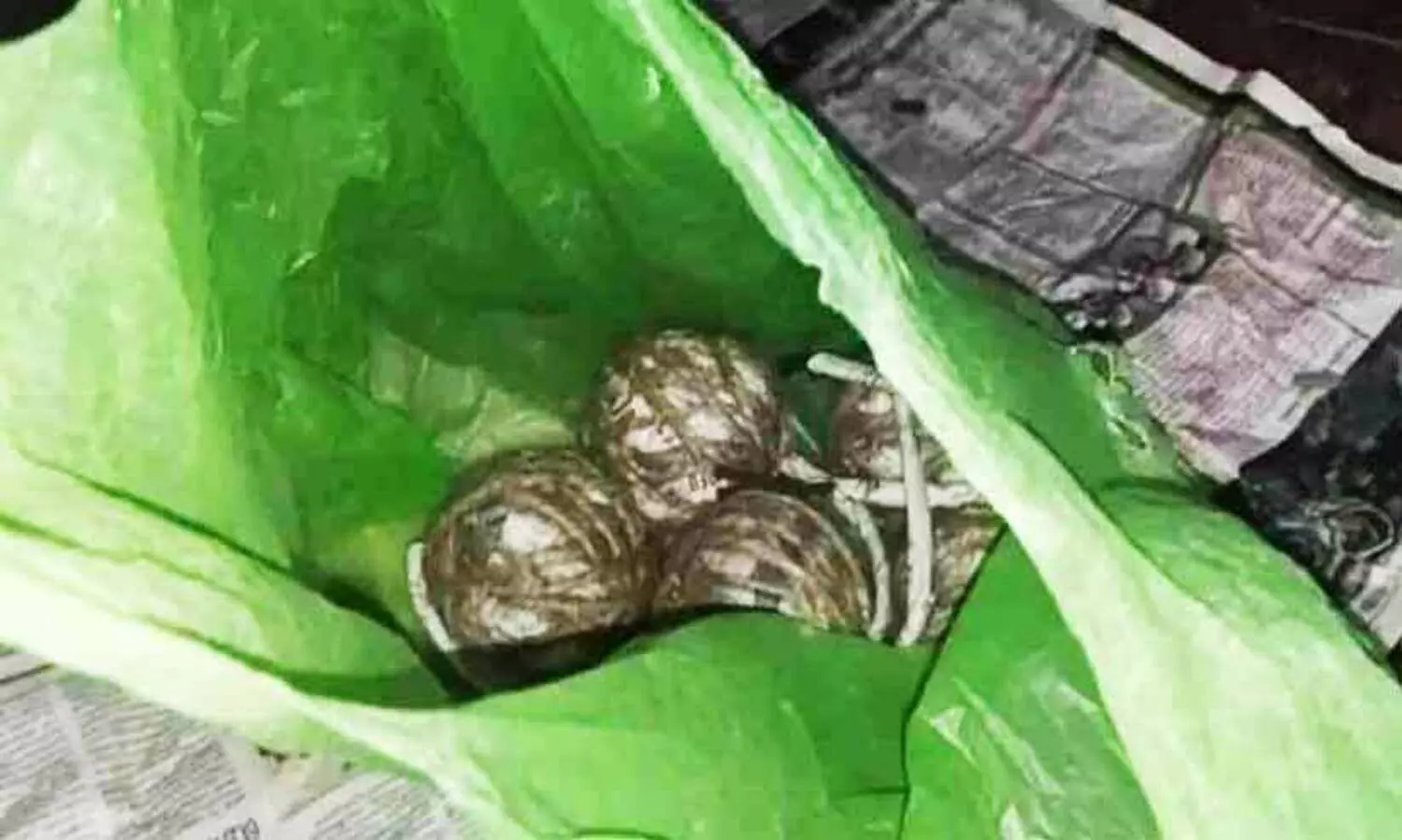 നാടൻ ബോംബ് ശേഖരം കണ്ടെത്തി