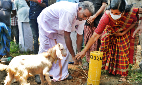 വീണ്ടും കല്ലുപറിക്കൽ, അറസ്റ്റ്