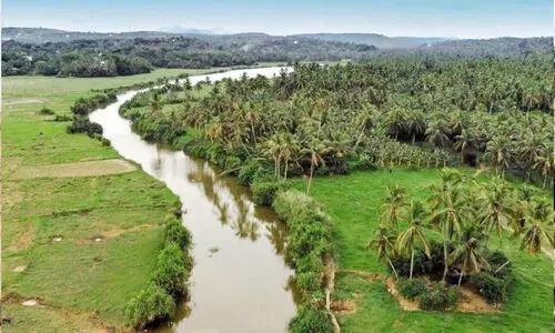 പരത്തിപ്പുഴ ടൂറിസം കേന്ദ്രമാക്കണമെന്ന ആവശ്യം ശക്തം പരത്തിപ്പുഴ ടൂറിസം കേന്ദ്രമാക്കണമെന്ന ആവശ്യം ശക്തം
