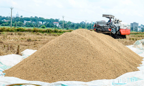 ജില്ലയിൽ നിന്ന് സംഭരിച്ചത് 100 കോടിയുടെ നെല്ല്