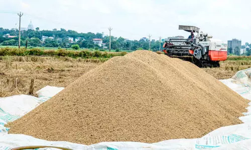 ജില്ലയിൽ നിന്ന് സംഭരിച്ചത് 100 കോടിയുടെ നെല്ല് ജില്ലയിൽ നിന്ന് സംഭരിച്ചത് 100 കോടിയുടെ നെല്ല്