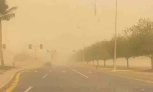 യാംബുവിൽ അപ്രതീക്ഷിത പൊടിക്കാറ്റ്