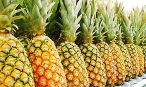 Pineapple