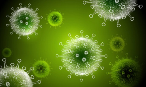 ഒമിക്രോണിന്‍റെ പുതിയ വകഭേദം ബി.എ 12 ബിഹാറിൽ കണ്ടെത്തി