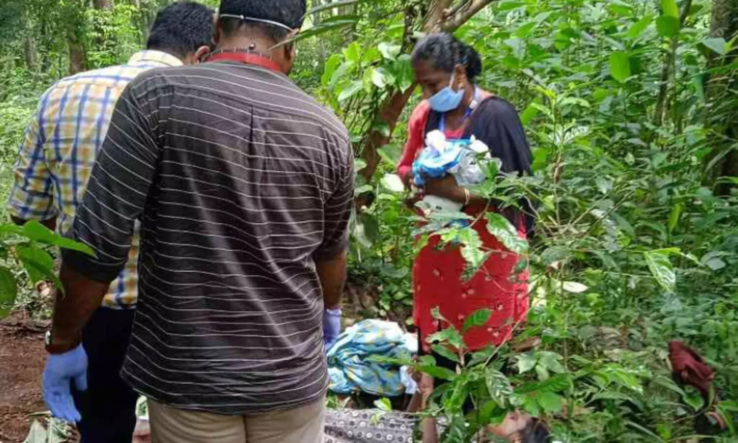 ആദിവാസി യുവതി വനത്തിനുള്ളിൽ പ്രസവിച്ചു