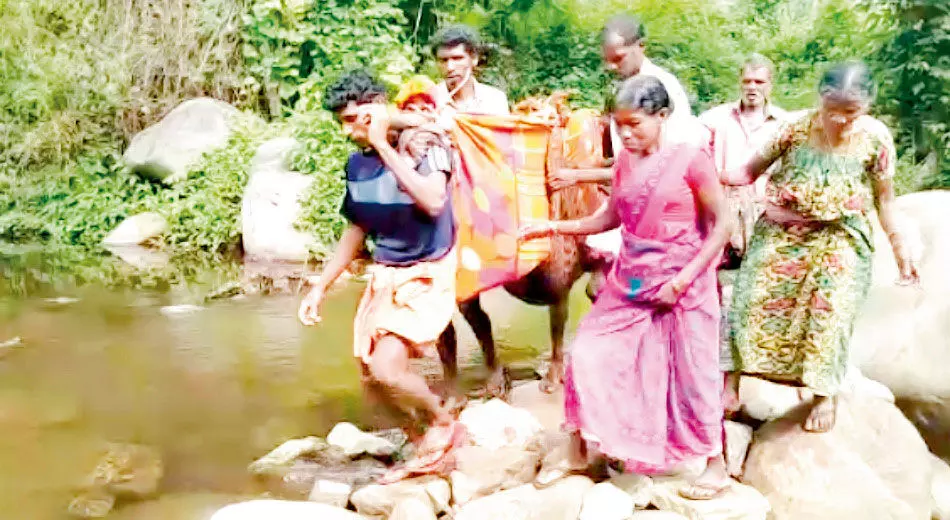 അഗളിയിൽ, ഗർഭിണിയായ ആദിവാസി യുവതിയെ മുളമഞ്ചലിൽ ചുമന്ന് ആശുപത്രിയിലെത്തിക്കുന്നു (2018 ജൂൺ ആറ്)