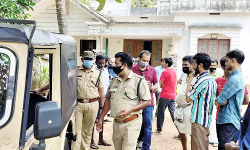 പുലിയല്ല വീട്ടമ്മ കണ്ട ജീവി വെരുക്