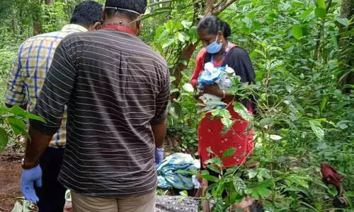 ആദിവാസി യുവതി വനത്തിനുള്ളിൽ പ്രസവിച്ചു