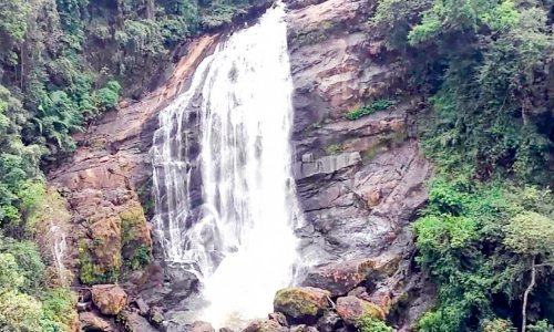 കാണാതെ പോകരുത് സാധ്യതകൾ