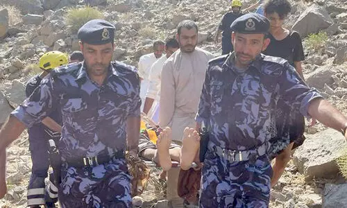 മ​ല​മു​ക​ളി​ൽ​നി​ന്ന്​ വീ​ണ​യാ​ളെ ര​ക്ഷി​ച്ചു