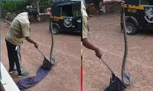 കിടപ്പുമുറിയിലെ അലമാരക്കടിയിൽ പത്തി വിടർത്തി മൂർഖൻ; കുടുംബം രക്ഷപ്പെട്ടത് തലനാരിഴക്ക്