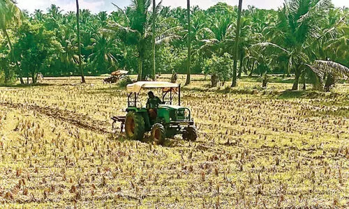 ജില്ലയിൽ ഒന്നാം വിളക്ക് ഒരുക്കം തകൃതി ജില്ലയിൽ ഒന്നാം വിളക്ക് ഒരുക്കം തകൃതി