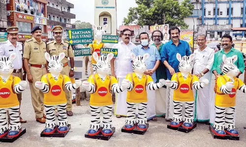 പൂരനഗരിയിൽ ഇനി വഴിതെറ്റില്ല; വഴി കാട്ടാൻ പപ്പു സീബ്രയുണ്ട്