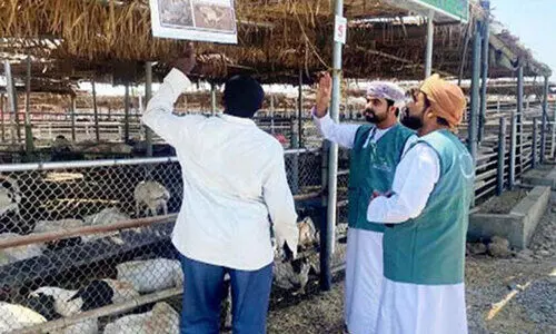 പെരുന്നാൾ: മാർക്കറ്റുകളിൽ പരിശോധന കർശനമാക്കി സി.പി.എ