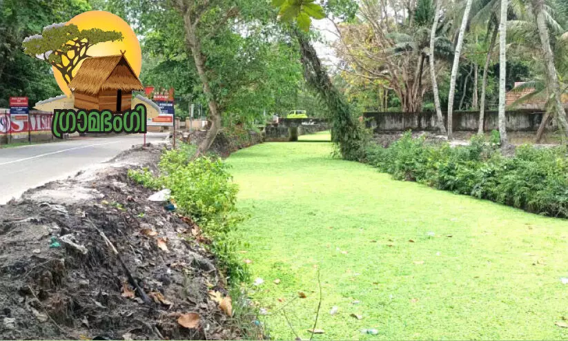 karthikapalli canal karthikapalli canal