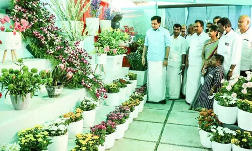 munnar flower show