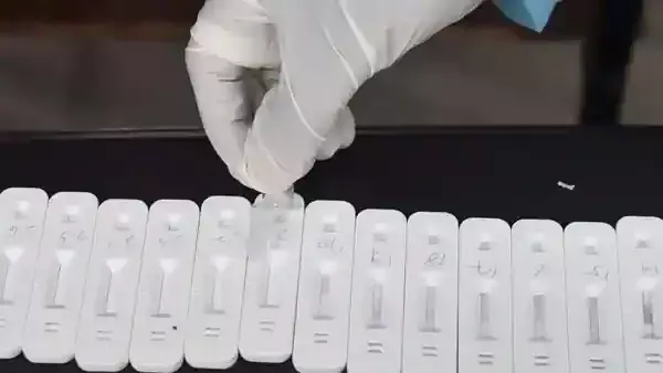 ജനിതകമാറ്റം സംഭവിച്ച കോവിഡ് വകഭേദം എക്സ്.ഇ ഇന്ത്യയിൽ സ്ഥിരീകരിച്ചു