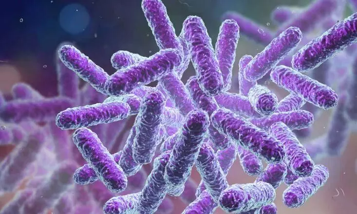 കാസർകോട് ഭക്ഷ്യവിഷബാധയേറ്റ കുട്ടികൾക്ക് ഷിഗല്ല കാസർകോട് ഭക്ഷ്യവിഷബാധയേറ്റ കുട്ടികൾക്ക് ഷിഗല്ല