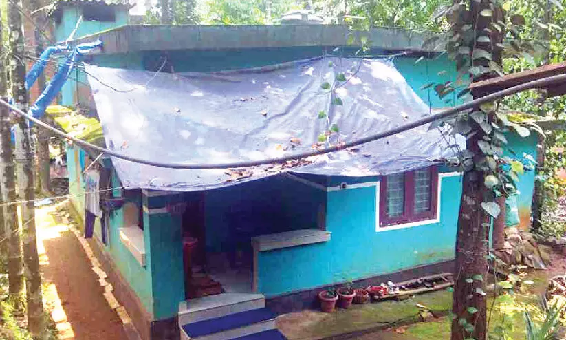 നൗഫൽ മൈതാനത്ത് വിസ്മയം തീർത്തത് ദുരിതക്കടൽ താണ്ടി നൗഫൽ മൈതാനത്ത് വിസ്മയം തീർത്തത് ദുരിതക്കടൽ താണ്ടി