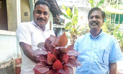 രാഷ്ട്രീയവും കൃഷിയും സമന്വയിപ്പിച്ച് ഇ.വി. തിലകൻ