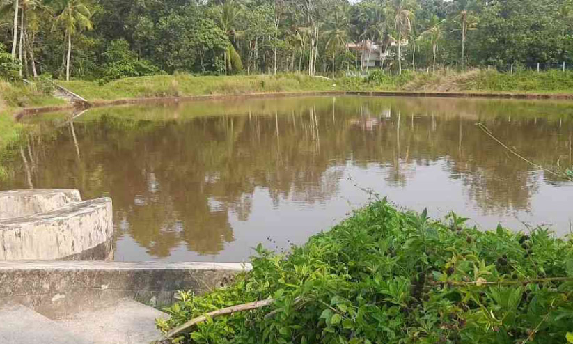 സംരക്ഷണ ഭിത്തിയില്ല; മരണക്കുളമായി കരിച്ചിറ