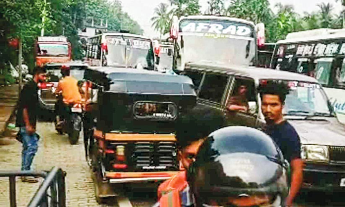 ഊട്ടിയിലേക്ക് സഞ്ചാരികളുടെ ഒഴുക്ക്; ഗതാഗതകുരുക്ക് രൂക്ഷം