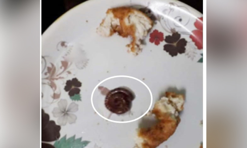 കാ​ഞ്ഞ​ങ്ങാ​ട് ജില്ല ആശുപത്രി കാന്റീനിൽ വടയിൽ തേരട്ട