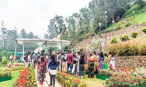 മൂന്നാറിൽ തിരക്കേറുന്നു; റെക്കോഡ് വരുമാനം