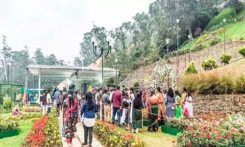 മൂന്നാറിൽ തിരക്കേറുന്നു; റെക്കോഡ് വരുമാനം