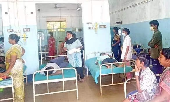 tamilnadu shawarma tamilnadu shawarma