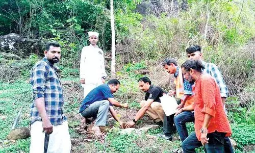 30 നോമ്പ് മരം നട്ട് ജാസിർ 30 നോമ്പ് മരം നട്ട് ജാസിർ