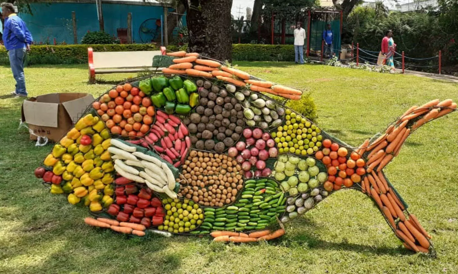 പച്ചക്കറി പ്രദർശനത്തോടെ ഊട്ടി വസന്തോത്സവത്തിനു തുടക്കമായി